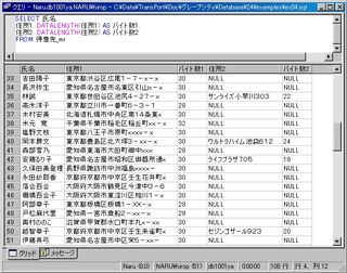 画面4：「住所1」と「住所2」に必要なバイト数を表示する(ex04.sql)