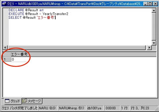 画面7：正常終了した場合は0が返される(ex08.sql)